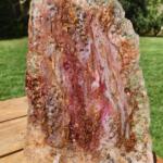 Screenshot 20251004 133433 Gallery