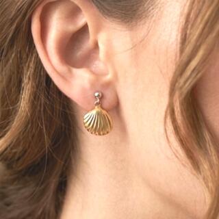 حلق من الاستانلس. طلاء. دهب.