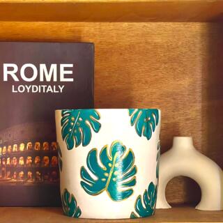 أصيص فخاري أسطواني مرسوم يدوياً بنمط متكرر لأوراق المونستيرا باللون الأخضر الداكن ومحدد باللون الذهبي. الأصيص موضوع في زاوية أنيقة بجوار كتاب وديكور عصري باللون البيج.| A cylindrical terracotta planter hand-painted with a repeating pattern of deep green Monstera leaves outlined in gold on a white/beige background. The pot is styled with books and modern arch decor in a warm, indoor setting.