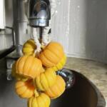 WhatsApp Image 2025 12 18 at 3.26.59 PM