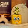 أصيص زرع فخار أصفر مرسوم عليه شخصية سبونج بوب مع نبات عصاري.| Yellow clay planter featuring hand-painted SpongeBob SquarePants with a succulent.