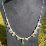 WhatsApp Image 2026 01 11 at 5.56.47 PM 1