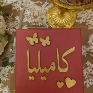 WhatsApp Image 2026 01 14 at 1.15.07 PM