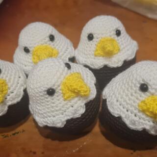 WhatsApp Image 2026 02 11 at 12.15.54