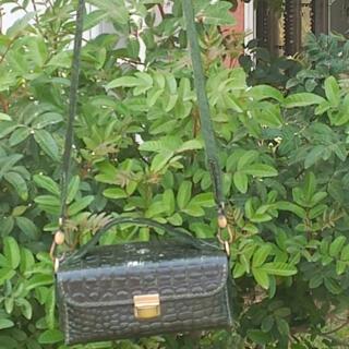 WhatsApp Image 2026 03 12 at 1.50.33 PM 2