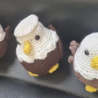 WhatsApp Image 2026 03 17 at 13.00.09