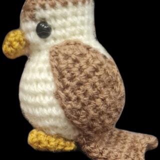 WhatsApp Image 2026 03 17 at 13.00.30