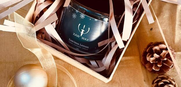 cropped 90724e57 c8a8 4b38 a129 ff003a2de7af