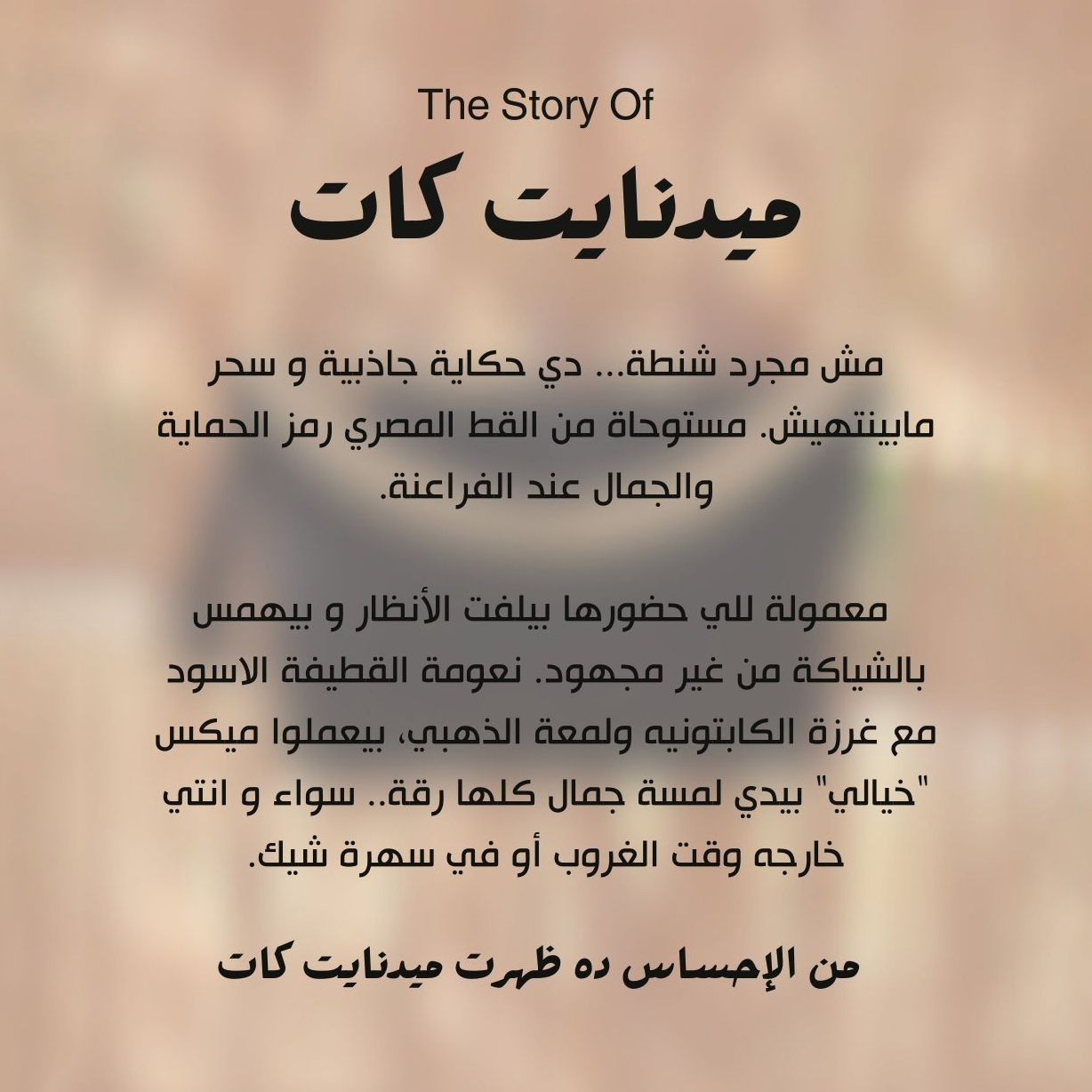 Midnight Cat bag 3 midnight cat bag square