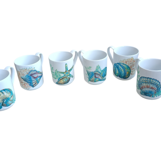 Shells mugs