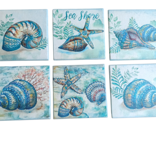 Shells coasters