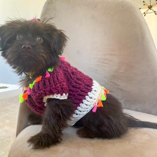 Handmade crochet pet poncho with tassel details and a cozy boho-inspired design.