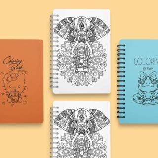 Coloring Book For Adults + Sudoko + Maze 1