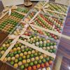 Premium Belgian Chocolate Event Tray