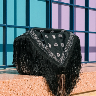 BANDANA PRINT CLUTCH