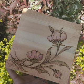 Flower box