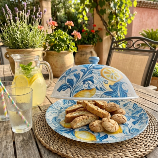 Lemon blue pattern plate with mesh cover