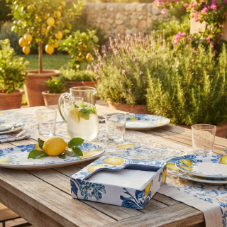 Lemon blue pattern napkin holder