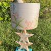 Sea Star Side Lamp Sea Horse Chapeau