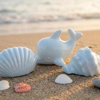 New Arrivals 60 Coastal set