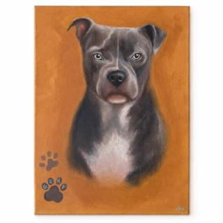 Customized Pet Portraits