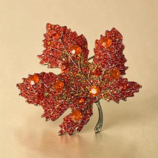 Elegant Brooches