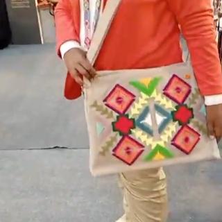 Laptop bag
