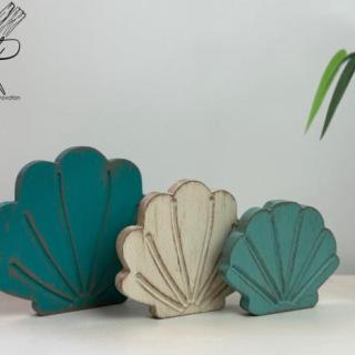 set of sea shell