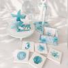 Terquoise Coastal Collection ( 13 Pieces )
